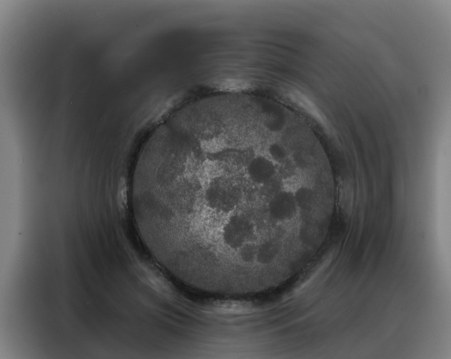 X0000088140549200705211138