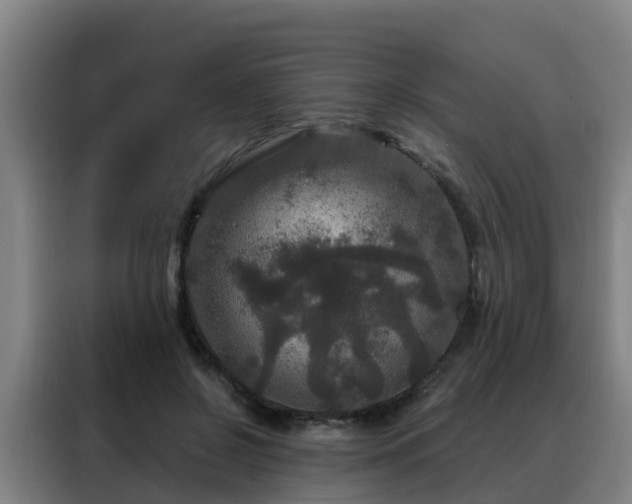 X0000088140550200705211138