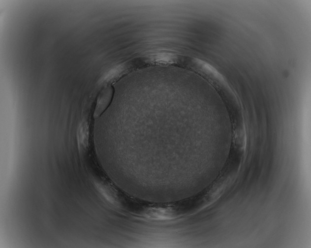 X0000088140552200705211138