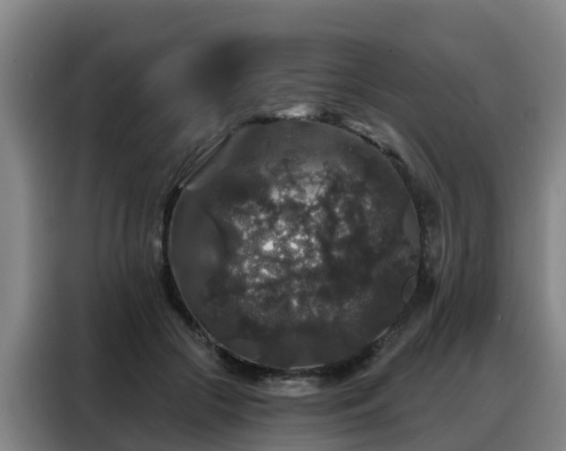 X0000088140553200705211138