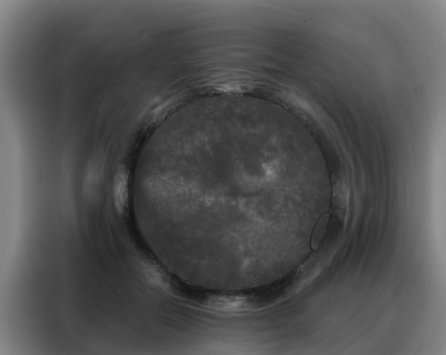 X0000088140554200705211138