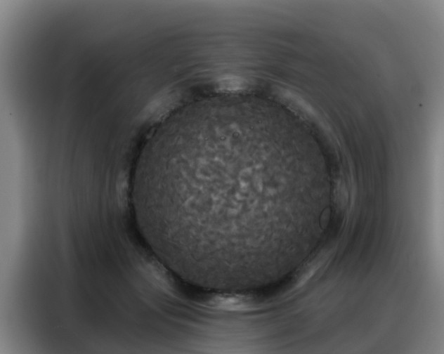 X0000088140557200705211138
