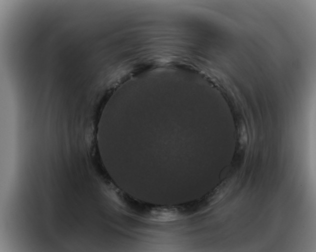 X0000088140559200705211138