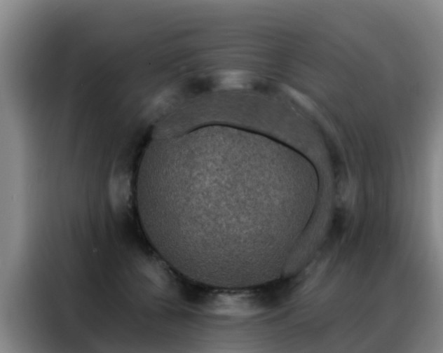 X0000088140560200705211138