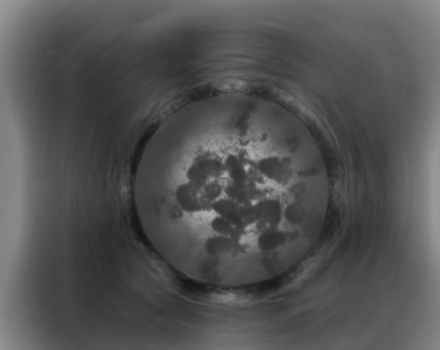 X0000088140561200705211138