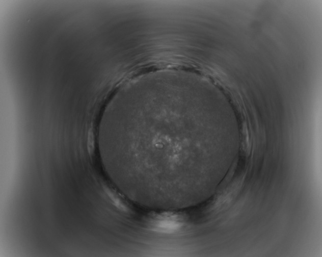 X0000088140562200705211138