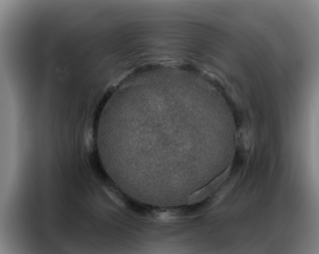 X0000088140564200705211138
