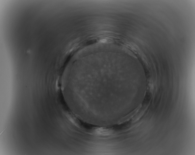 X0000088140568200705211138