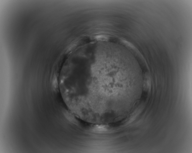 X0000088140573200705211138