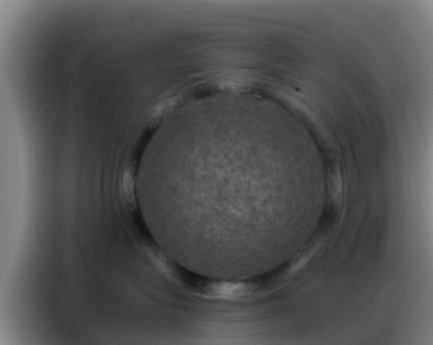 X0000088140575200705211138