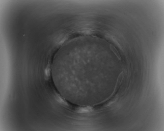 X0000088140576200705211138