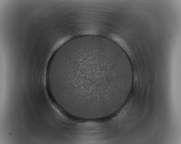 X0000088140578200705211137