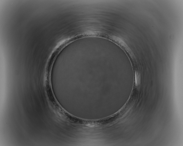 X0000088140579200705211137