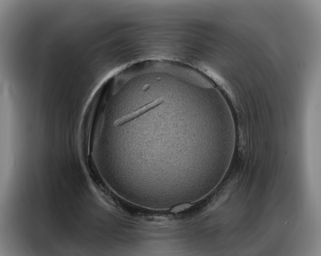 X0000088140580200705211137
