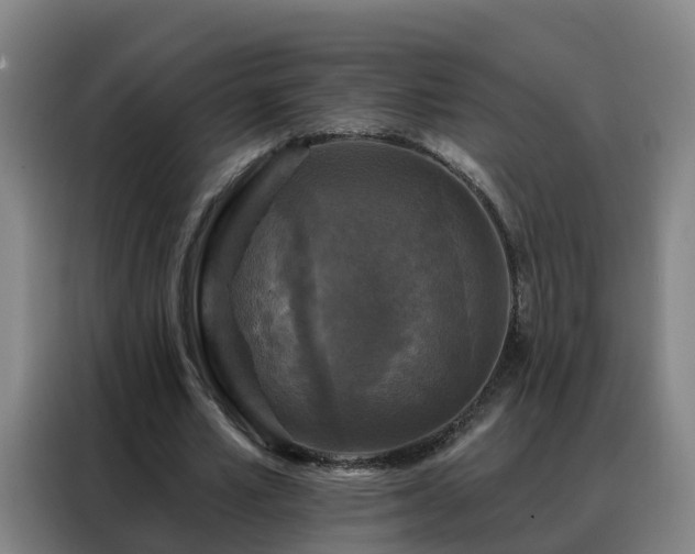 X0000088140581200705211137