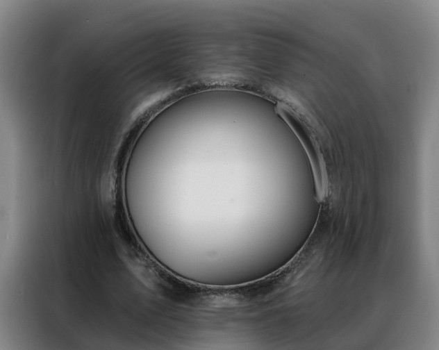 X0000088140583200705211137