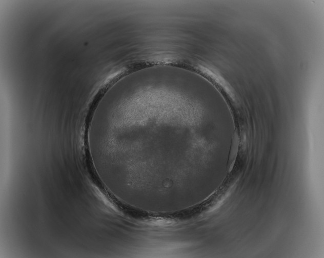 X0000088140585200705211137
