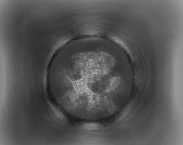 X0000088140586200705211137