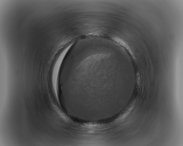 X0000088140589200705211137