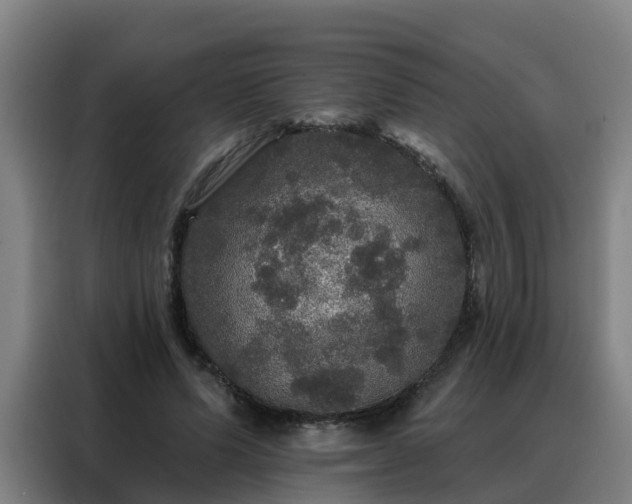 X0000088140591200705211137