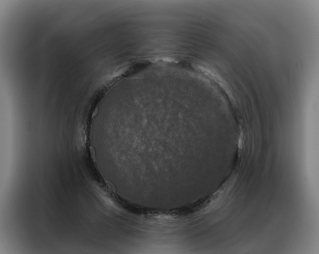X0000088140593200705211137