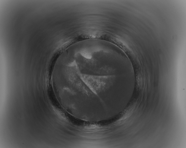 X0000088140594200705211137
