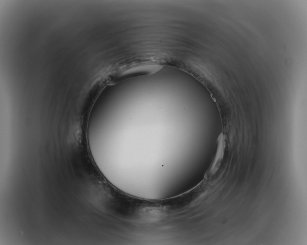 X0000088140595200705211137
