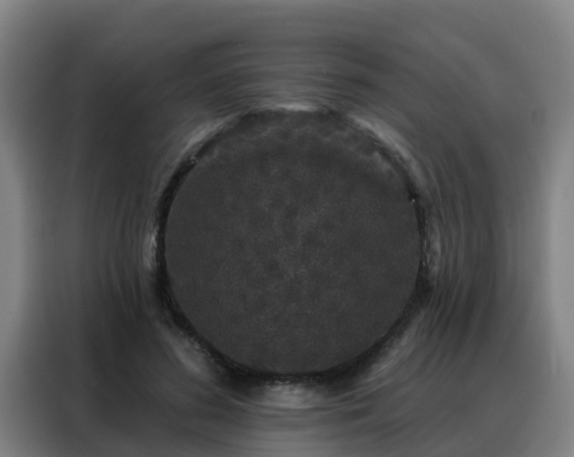 X0000088140596200705211137