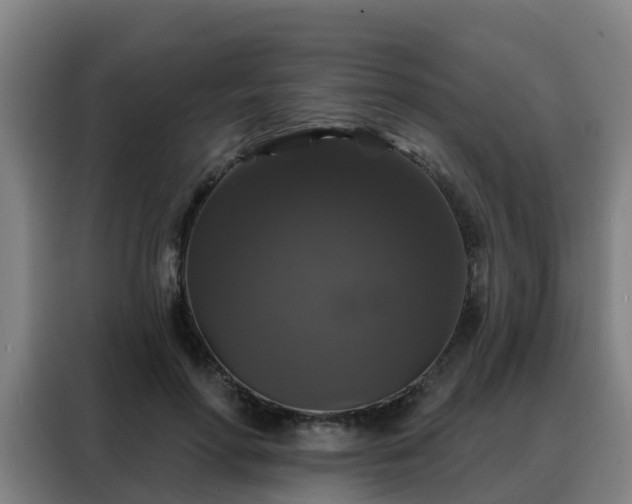 X0000088140598200705211137