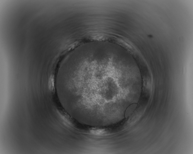 X0000088140602200705211137