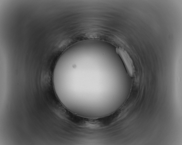 X0000088140603200705211137