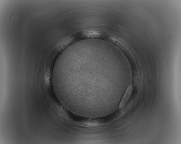 X0000088140604200705211137
