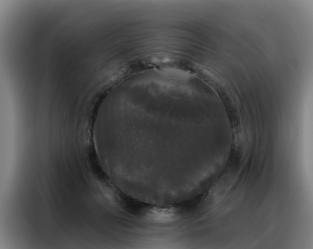 X0000088140606200705211137