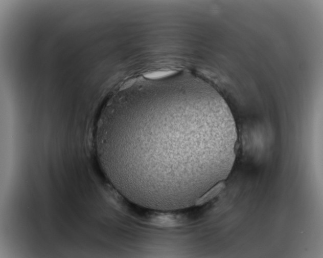 X0000088140611200705211137