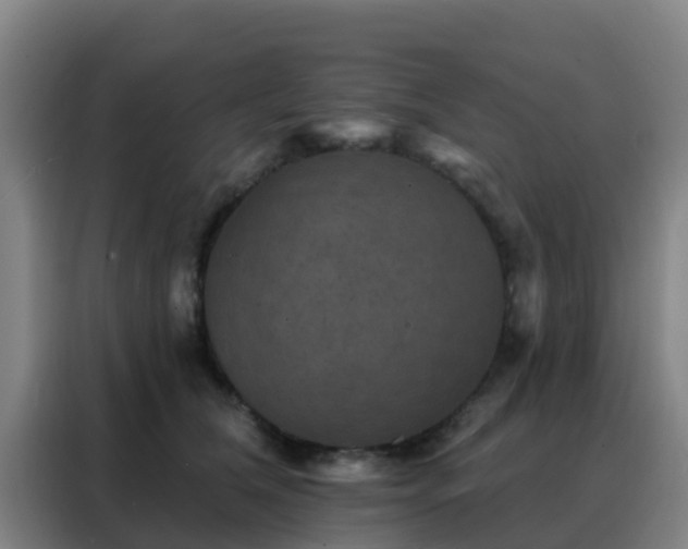 X0000088140612200705211137