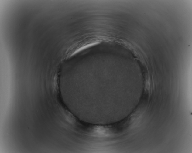 X0000088140616200705211137