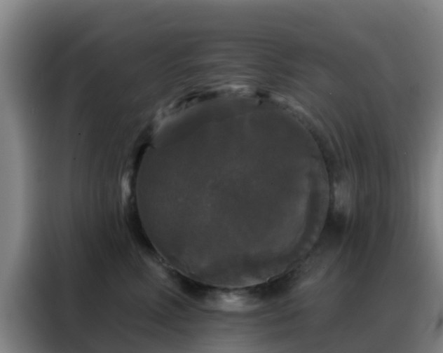 X0000088140618200705211137