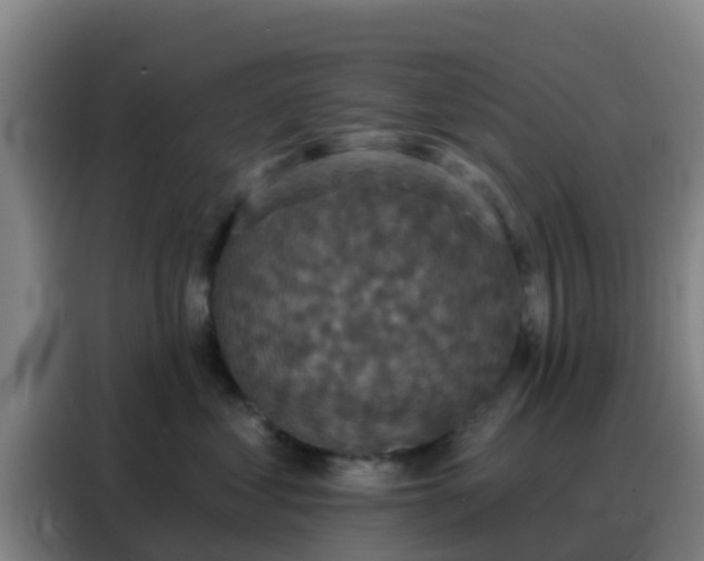 X0000088140621200705211137