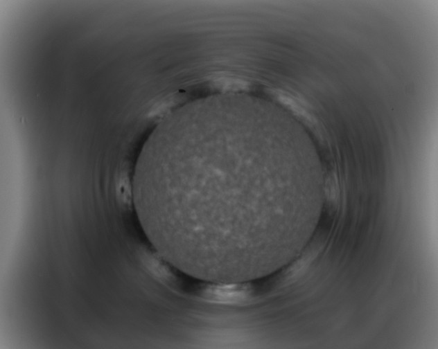 X0000088140622200705211137