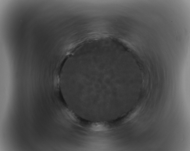 X0000088140624200705211137