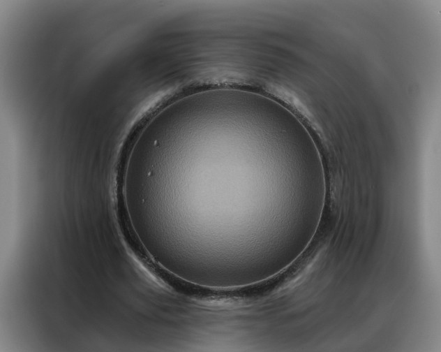 X0000088140629200705211136