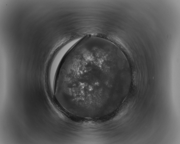 X0000088140634200705211136