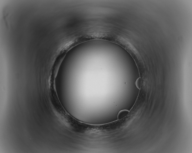 X0000088140635200705211136
