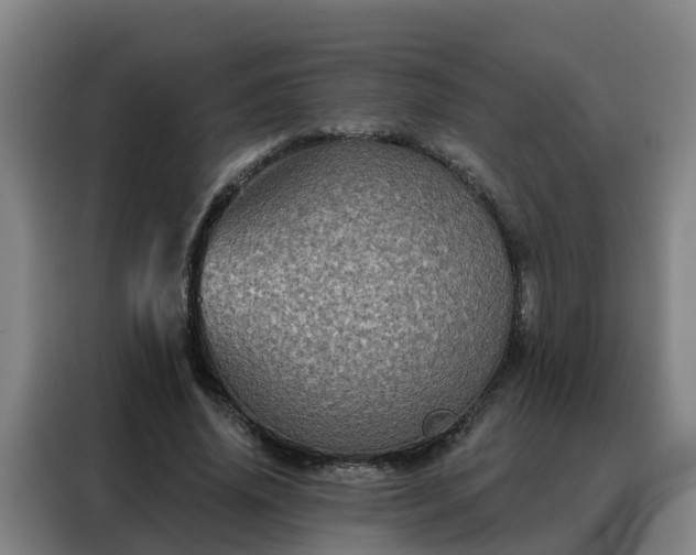 X0000088140636200705211136