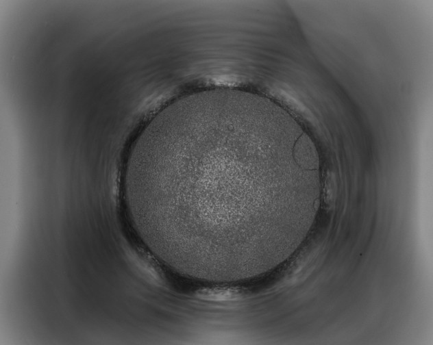 X0000088140639200705211136