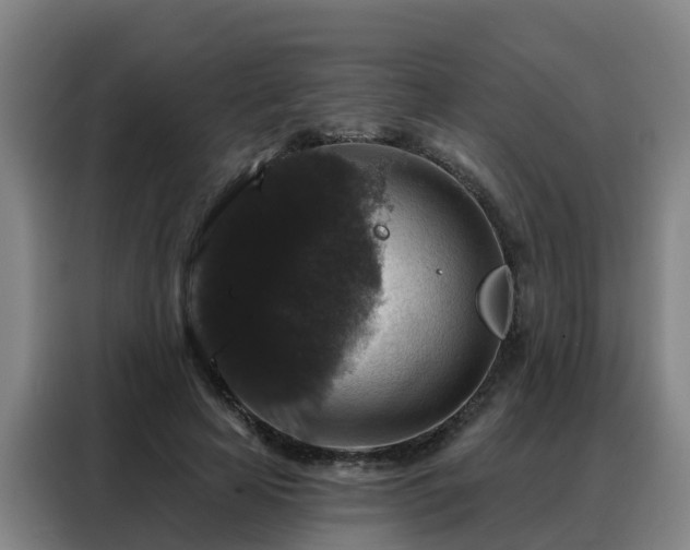 X0000088140641200705211136