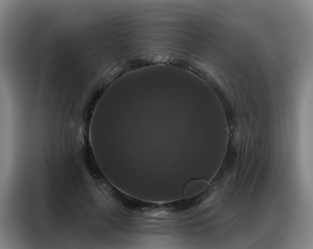 X0000088140643200705211136