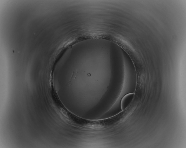 X0000088140644200705211136