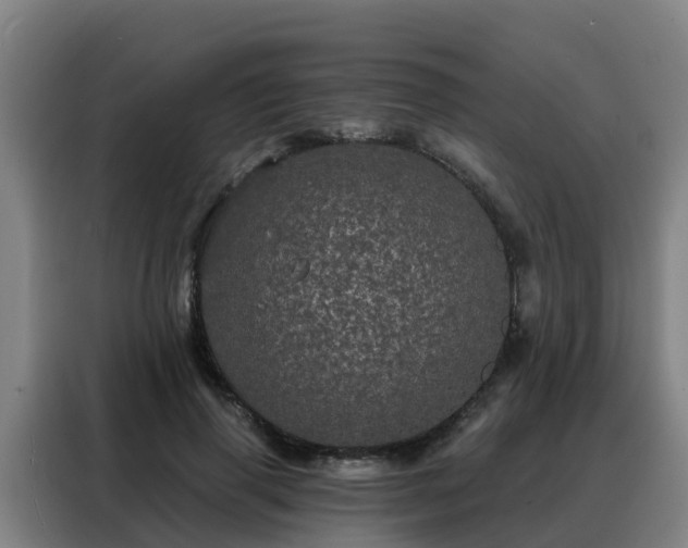 X0000088140645200705211136