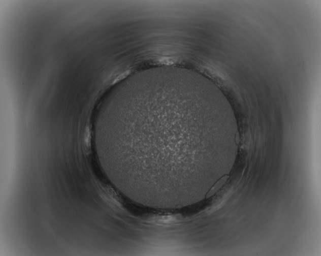 X0000088140646200705211136